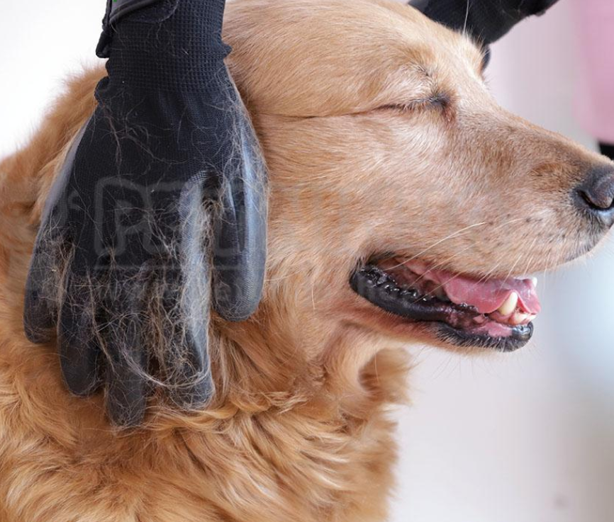 Pet Shedding & Grooming Glove