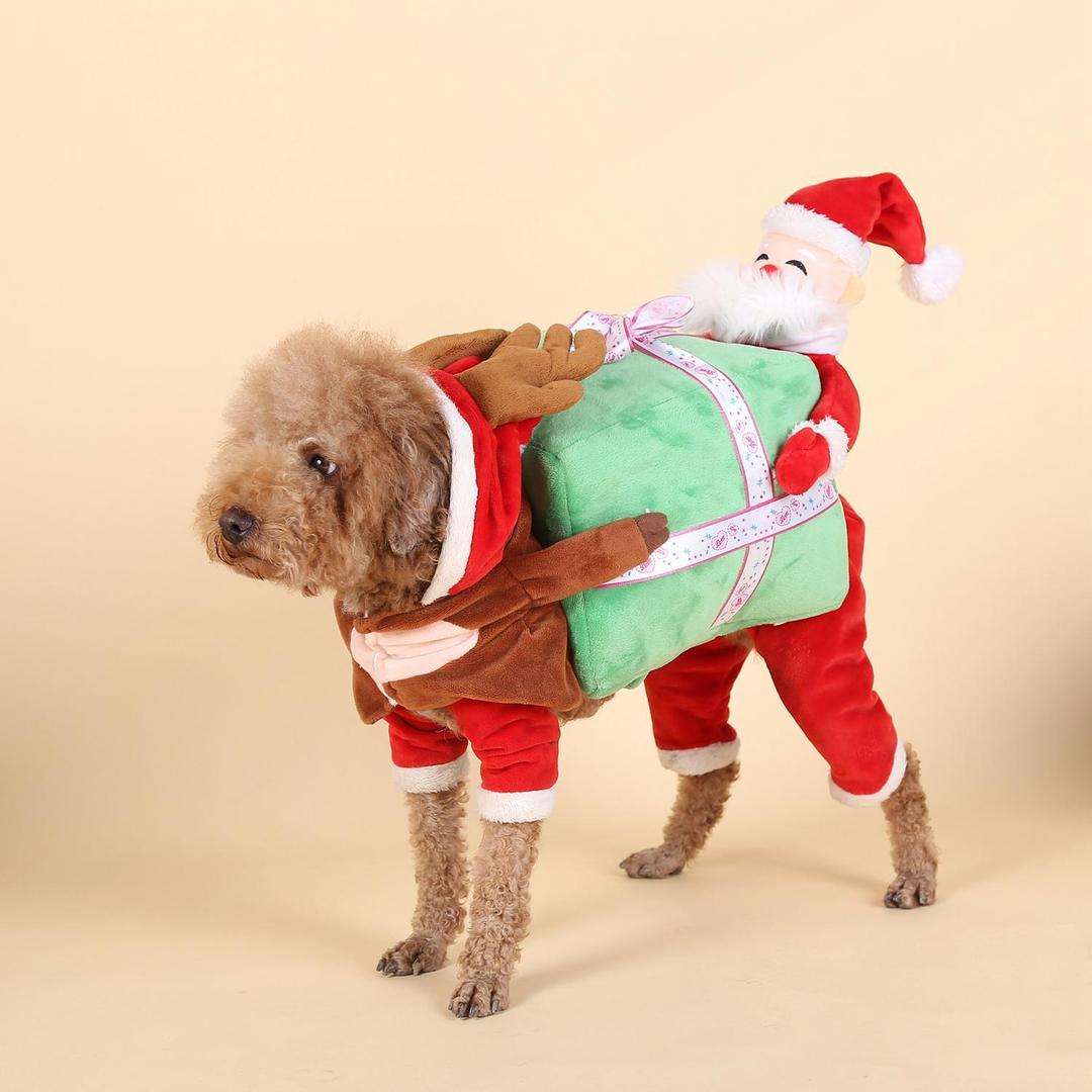 Fun Pet Costume