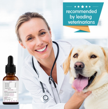 Premium Organic Hemp Oil for Pets