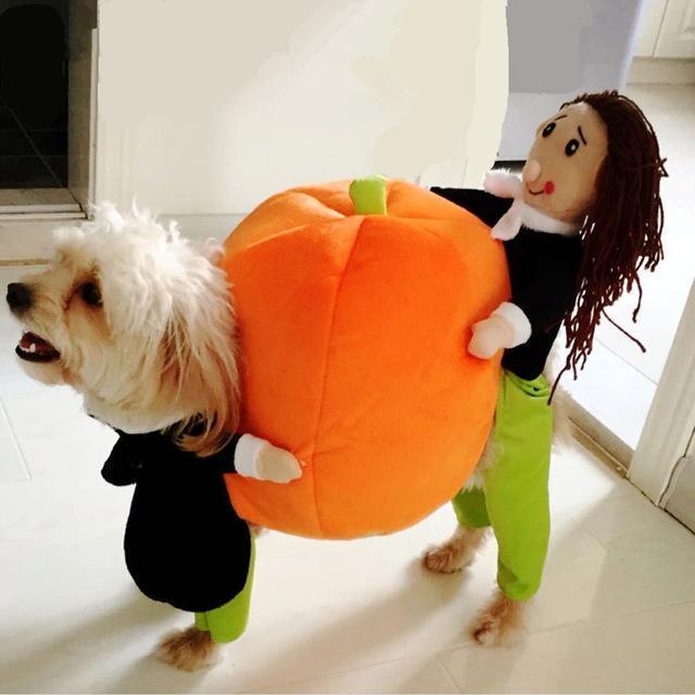 Fun Pet Costume