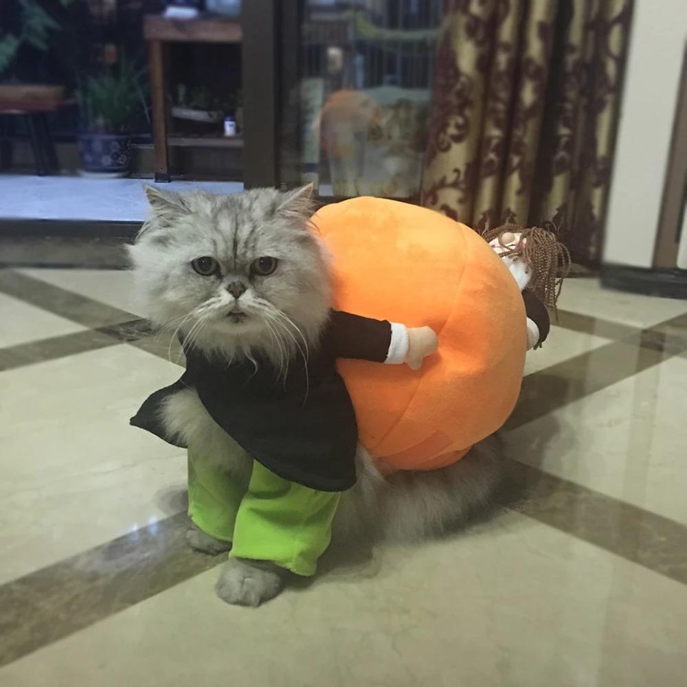 Fun Pet Costume