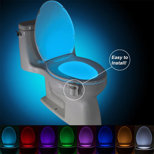 LED Toilet Night Lights